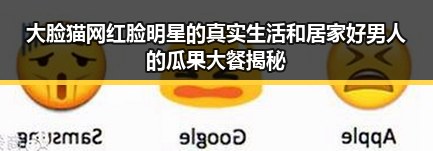 大脸猫网红脸明星的真实生活和居家好男人的瓜果大餐揭秘
