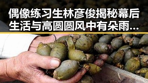 偶像练习生林彦俊揭秘幕后生活与高圆圆风中有朵雨做的云的明星反差